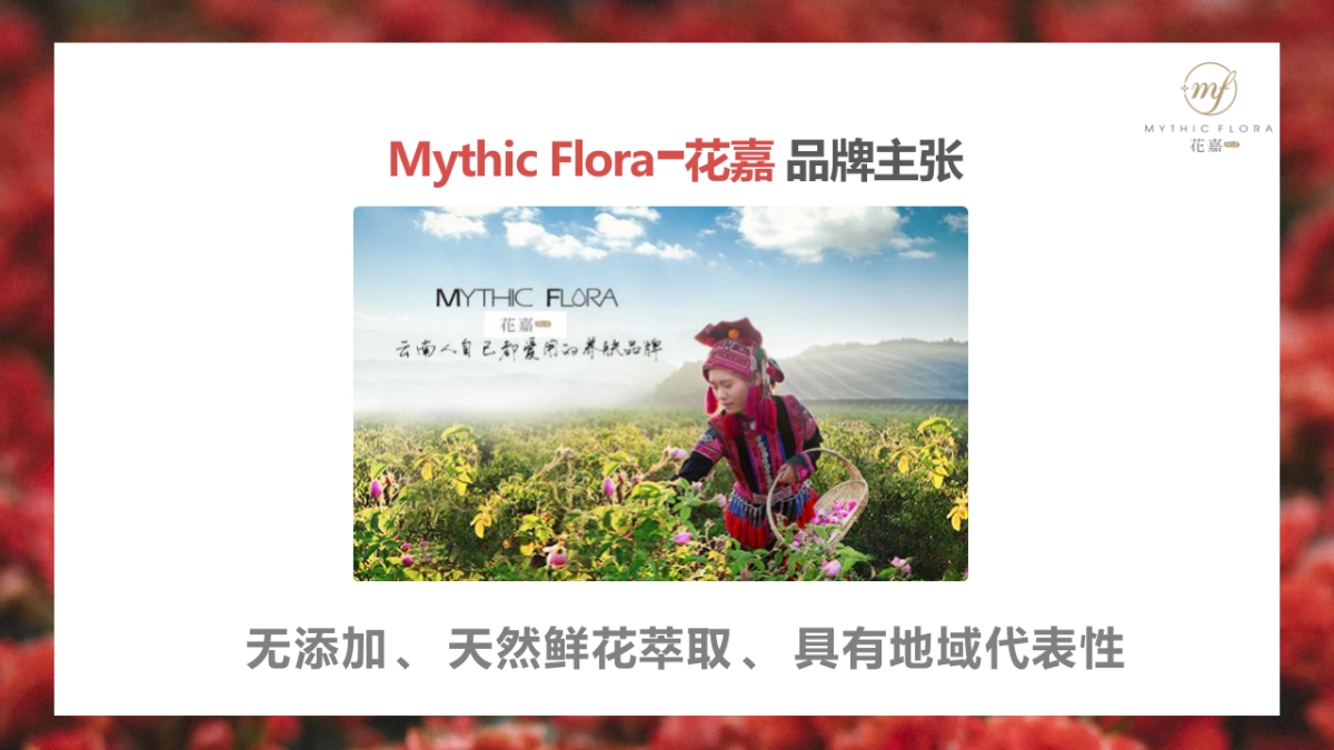 护肤品新品线上全媒体渠道推广方案_第7页