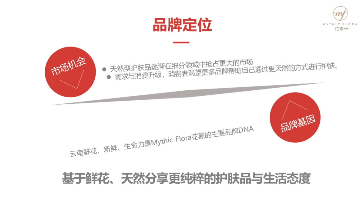 护肤品新品线上全媒体渠道推广方案_第9页