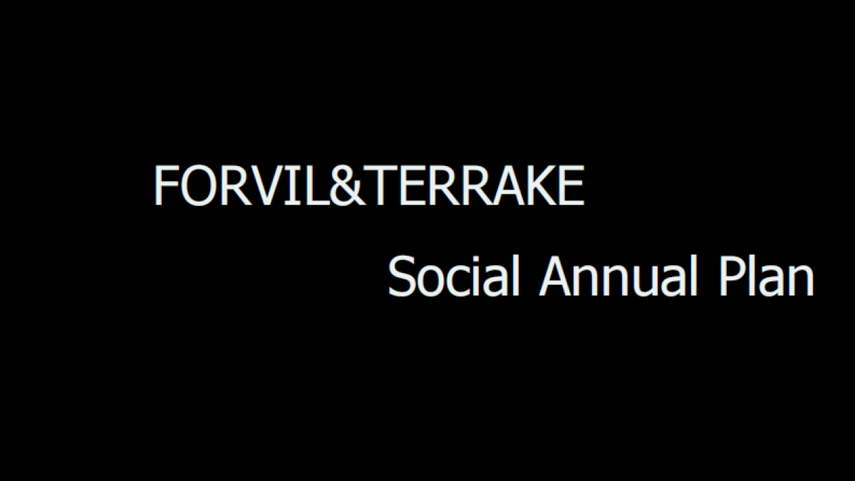 护肤品牌Social Annual Plan_第1页