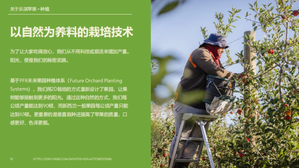 乐淇苹果品牌介绍_2024_第10页