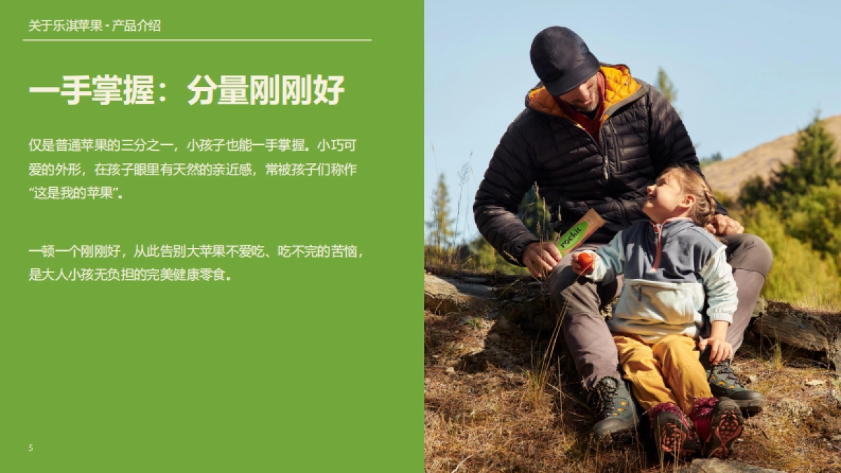 乐淇苹果品牌介绍_2024_第5页