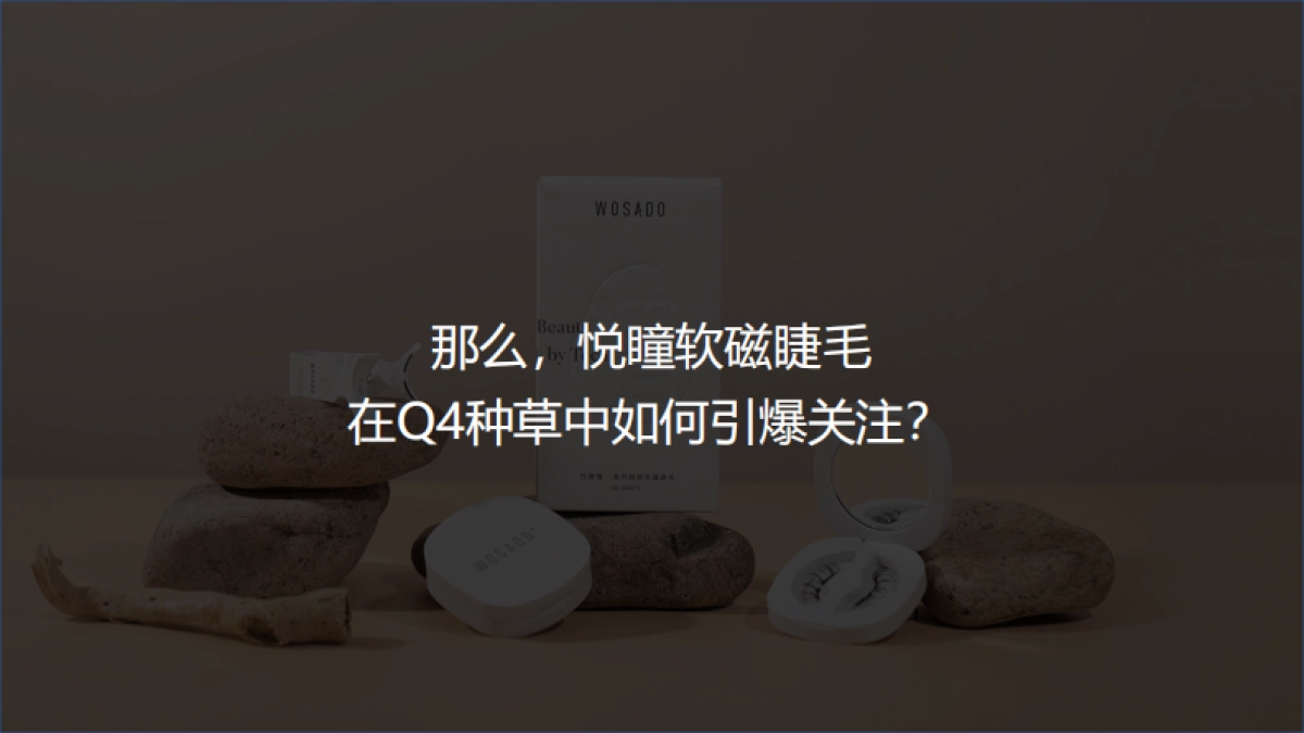 悦瞳品牌9-11月抖音投放规划_第6页