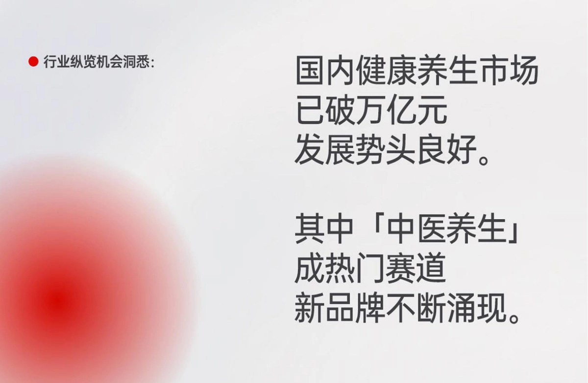 2024艾益生中医养生品牌超级体系复盘_第5页