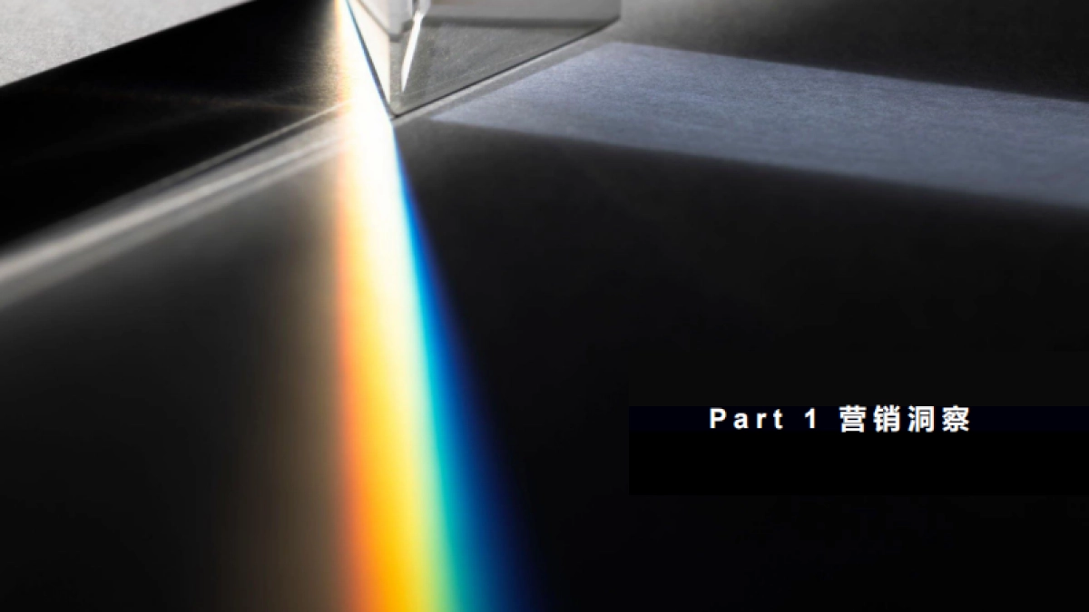 2024微果投影仪年度传播方案_第2页