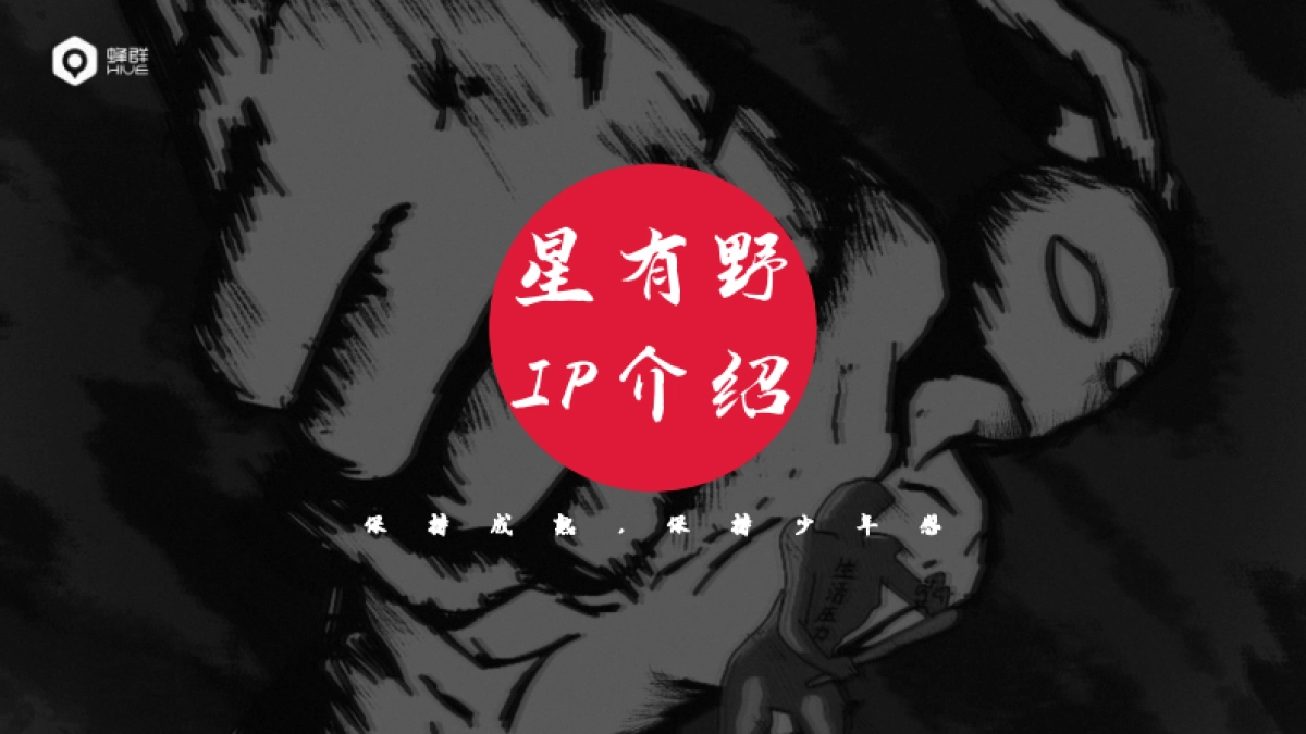 B站星有野IP手册_第1页