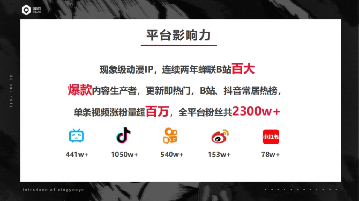 B站星有野IP手册_第4页