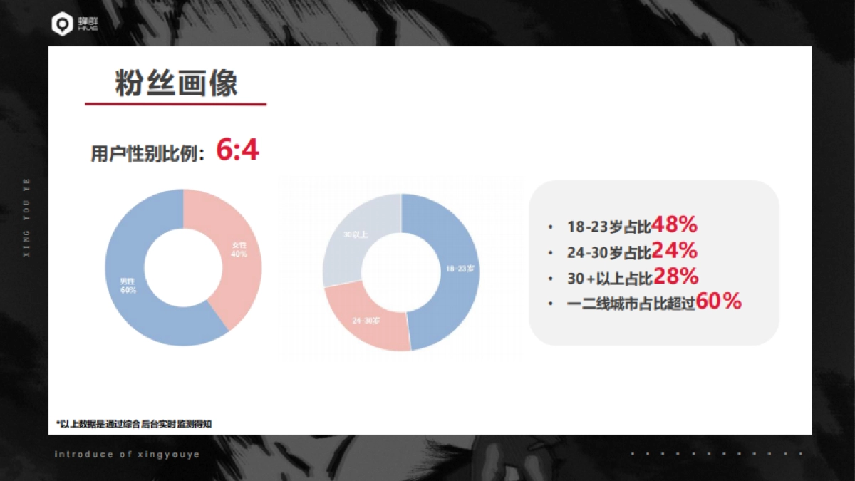 B站星有野IP手册_第7页