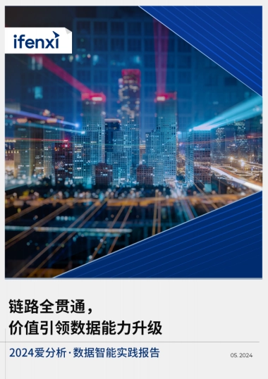 爱分析：2024数据智能实践报告