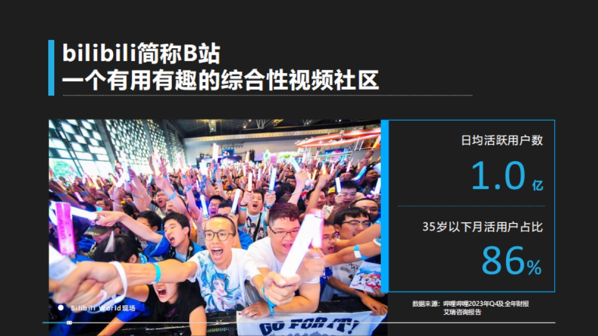 哔哩哔哩2024公司简介_第3页