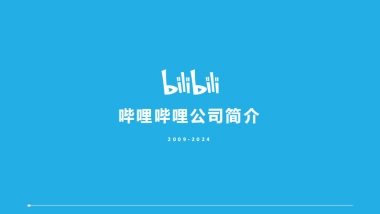 哔哩哔哩2024公司简介