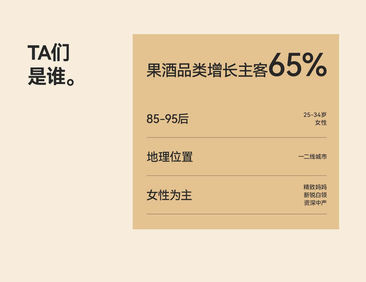 泸州老窖旗下盛放果酒品牌包装策划及视觉设计方案_第3页
