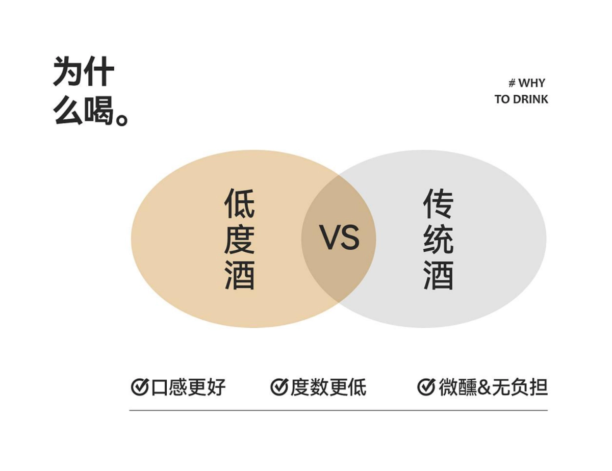 泸州老窖旗下盛放果酒品牌包装策划及视觉设计方案_第4页