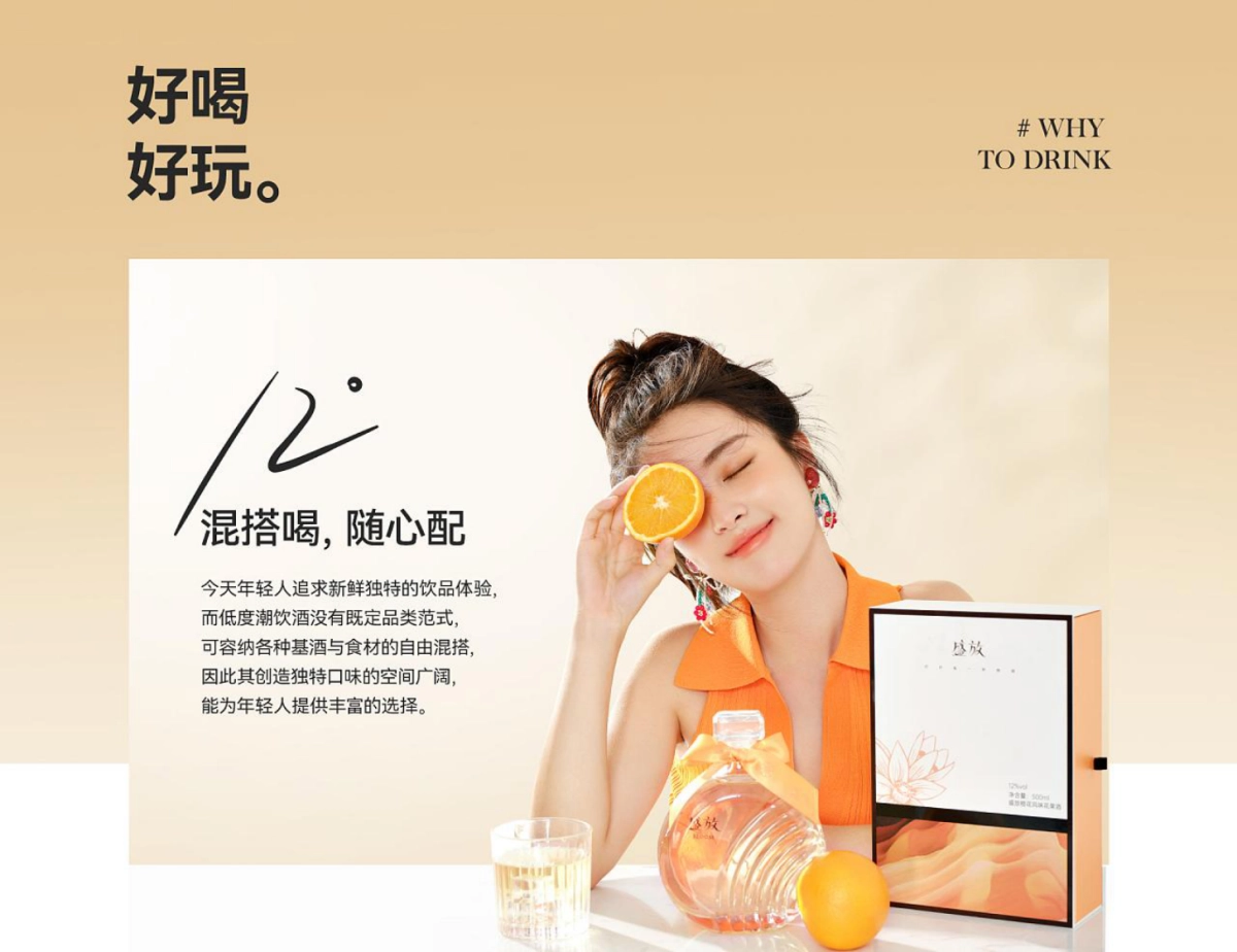 泸州老窖旗下盛放果酒品牌包装策划及视觉设计方案_第5页