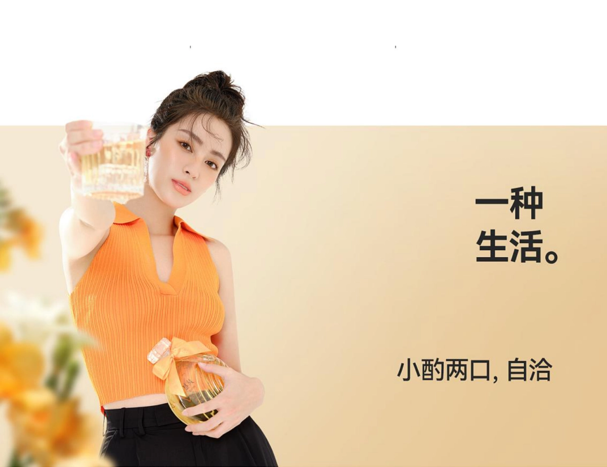 泸州老窖旗下盛放果酒品牌包装策划及视觉设计方案_第7页