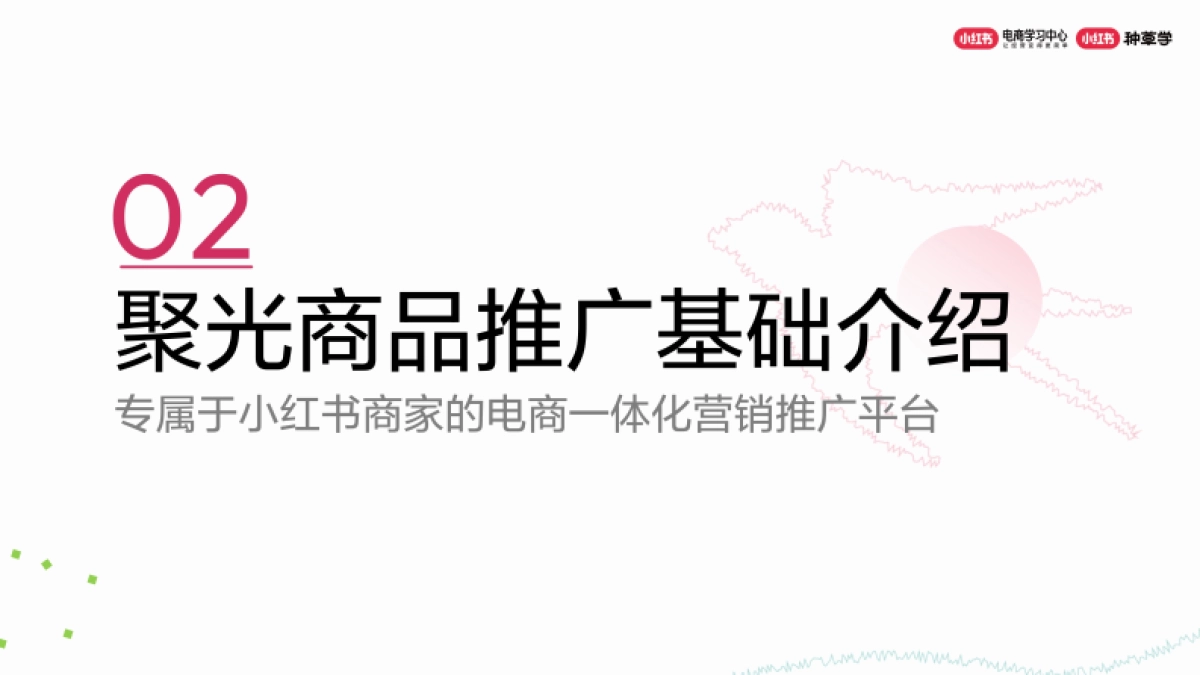 小红书商品推广产品介绍_第4页