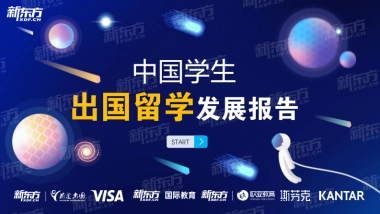 新东方：2024中国留学生发展报告