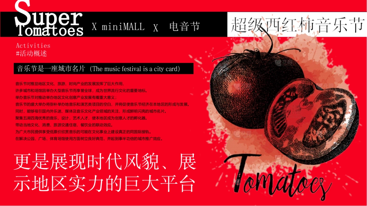 “超级西红柿”音乐节活动策划方案_第3页