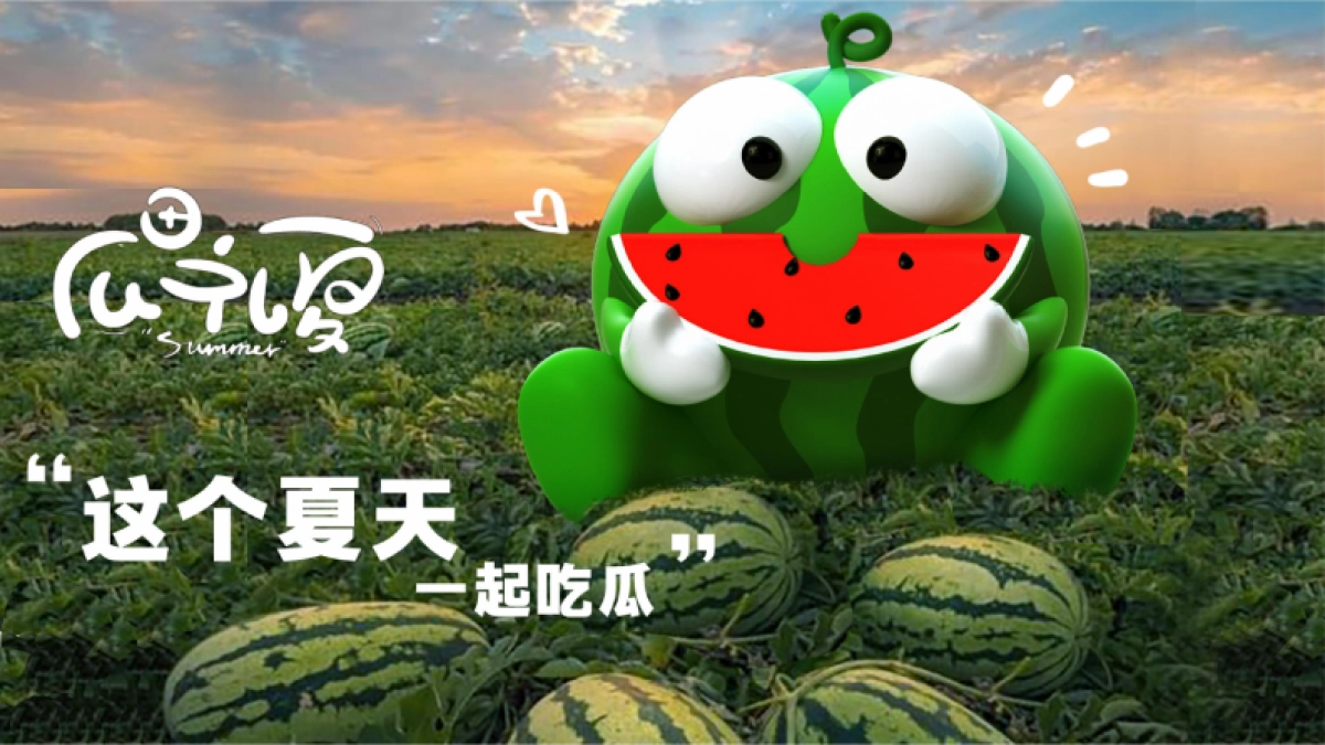 2024瓜田礼夏夏季西瓜IP美陈包装设计方案_第9页