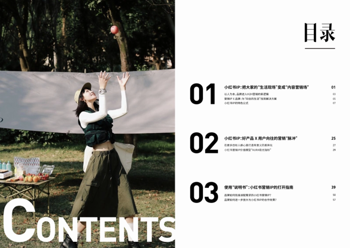 小红书营销IP说明书:一本大家看懂IP的使用说明_第3页