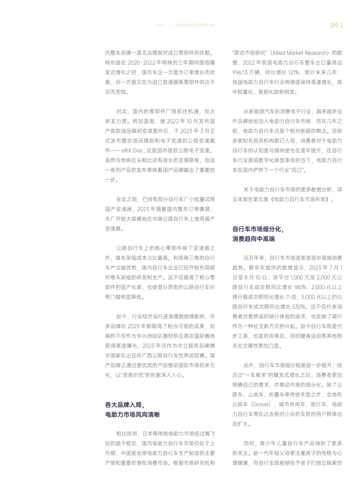 2023年中国自行车行业调查报告_第10页