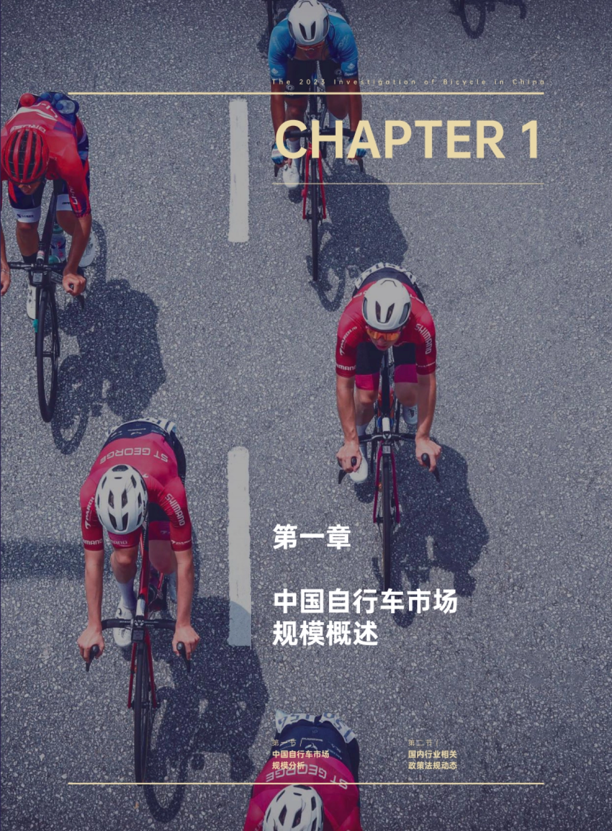 2023年中国自行车行业调查报告_第6页