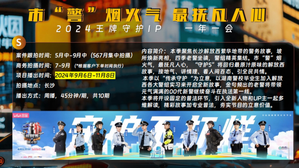 2024bilibili《守护解放西5》招商方案_第6页