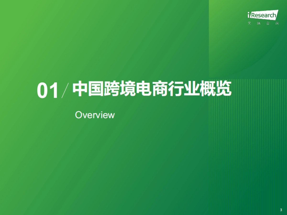 2024年中国跨境电商软件服务行业报告_第3页