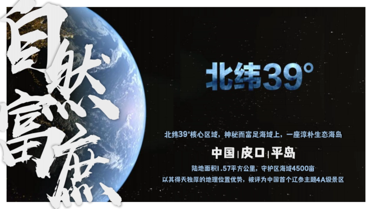 2024主题海岛文旅项目内容规划及项目运营报告_第2页