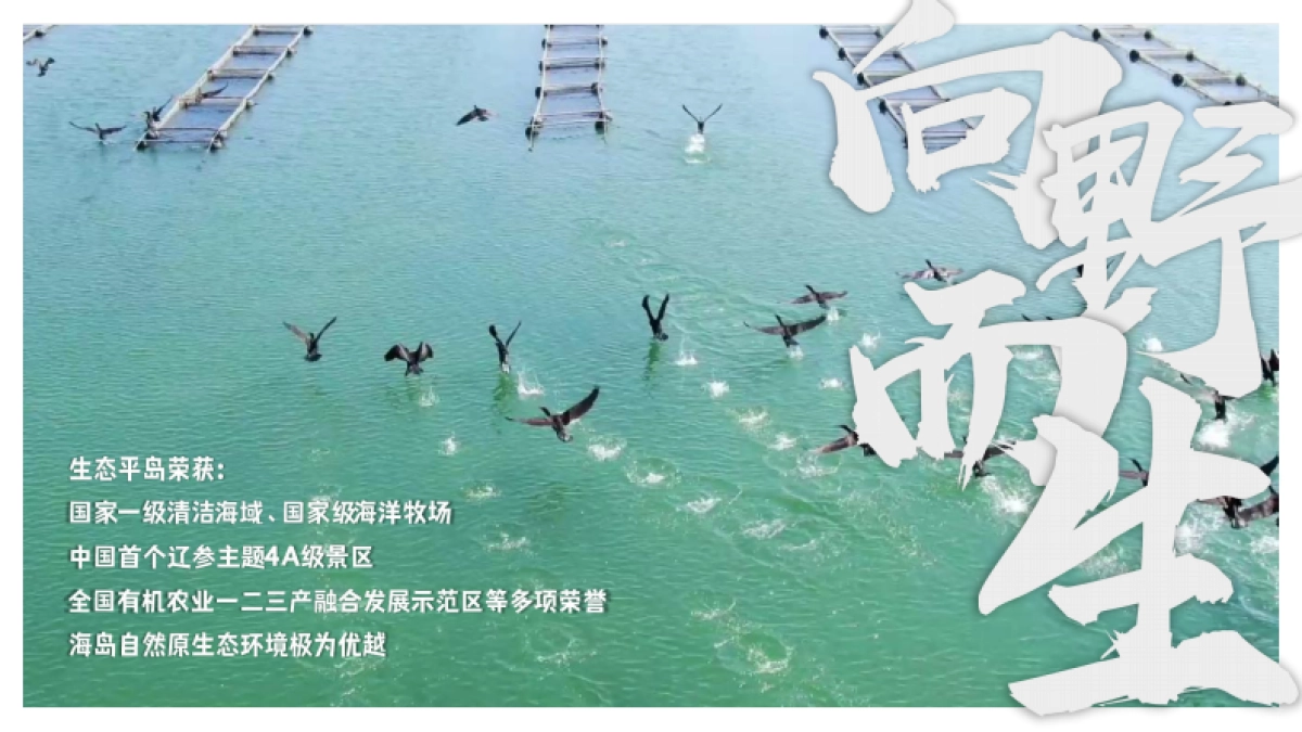 2024主题海岛文旅项目内容规划及项目运营报告_第3页