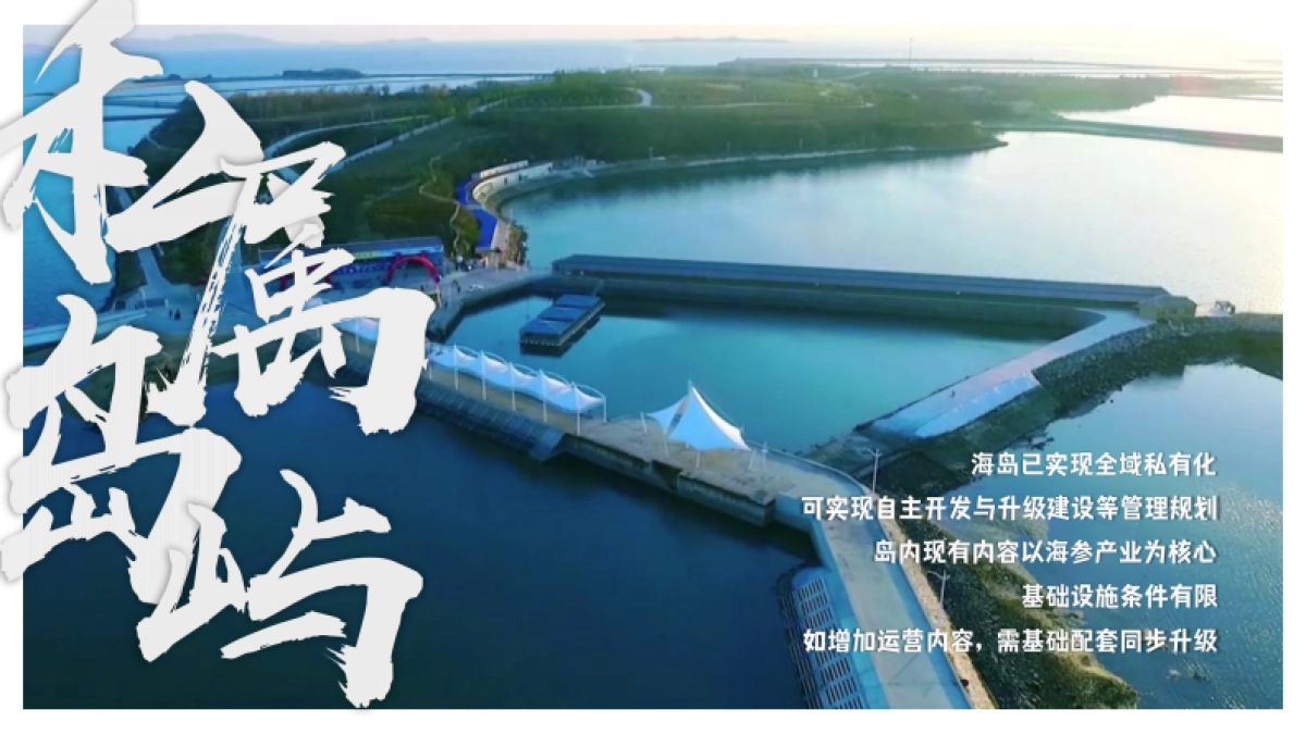 2024主题海岛文旅项目内容规划及项目运营报告_第4页