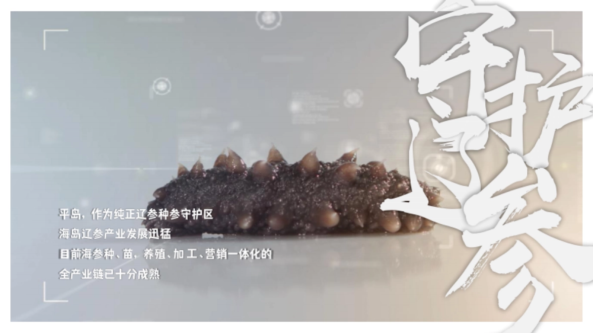 2024主题海岛文旅项目内容规划及项目运营报告_第5页