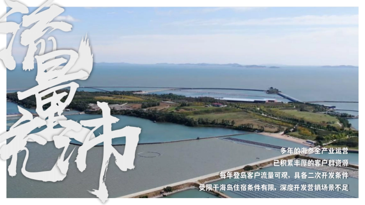 2024主题海岛文旅项目内容规划及项目运营报告_第6页