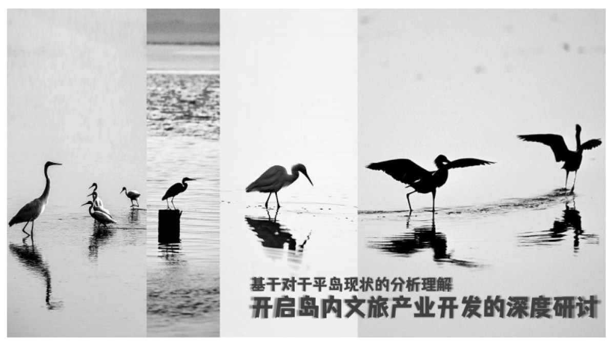 2024主题海岛文旅项目内容规划及项目运营报告_第7页