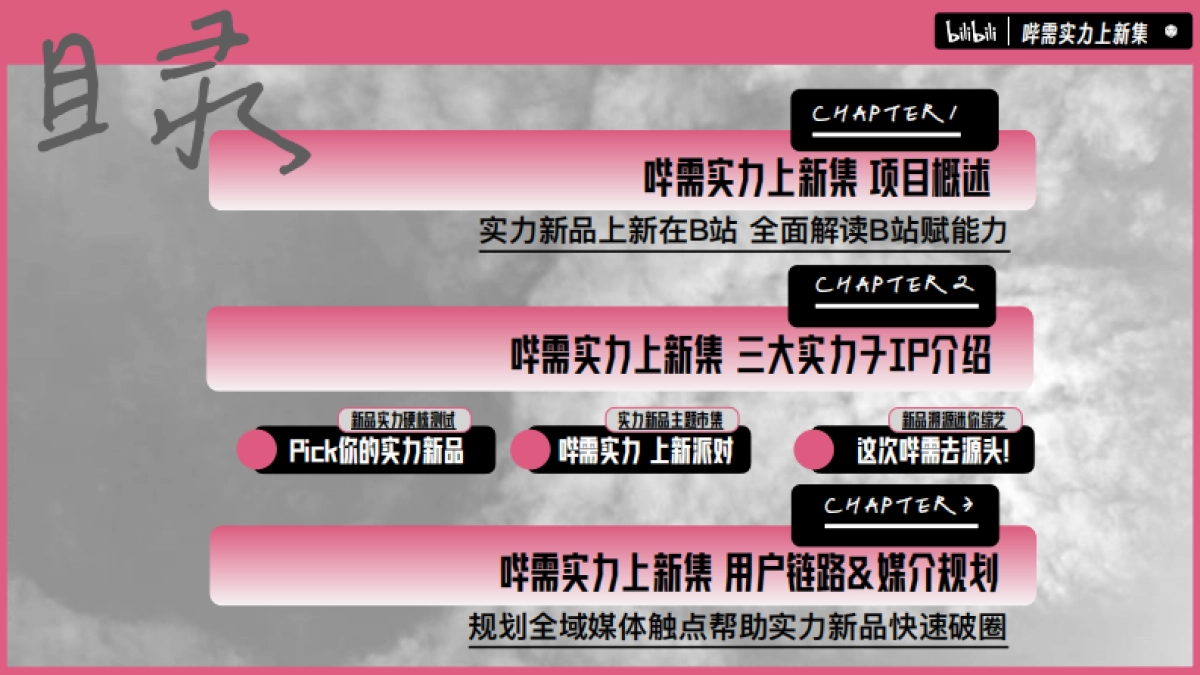 B站自营实力新品营销IP 哔需实力上新集推介案_第3页