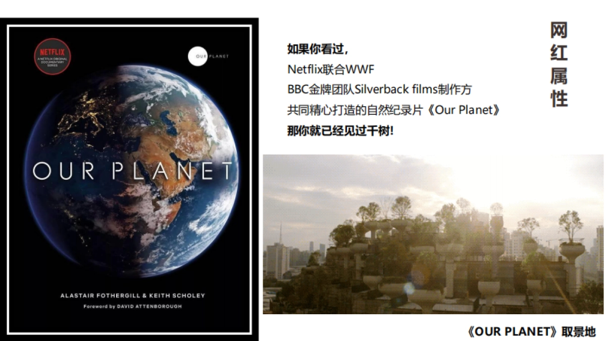 标杆商业综合体项目招商手册_第9页