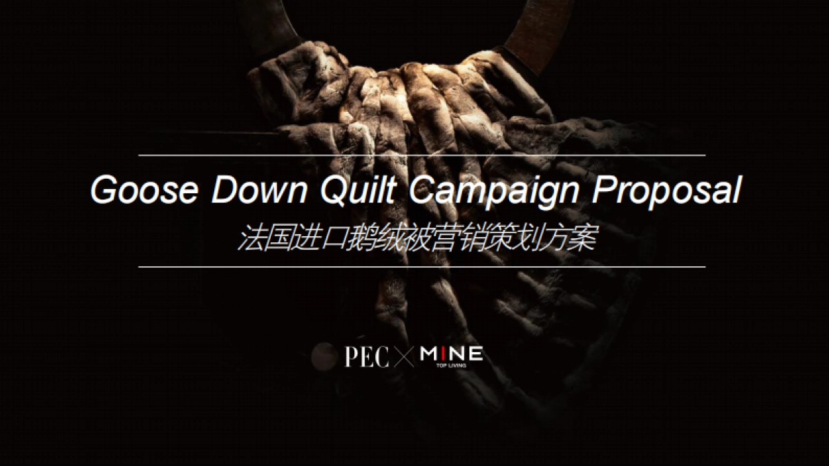 法国进口鹅纸被营销策划案MINE Goose Down Quilt Campaign Proposal_第1页