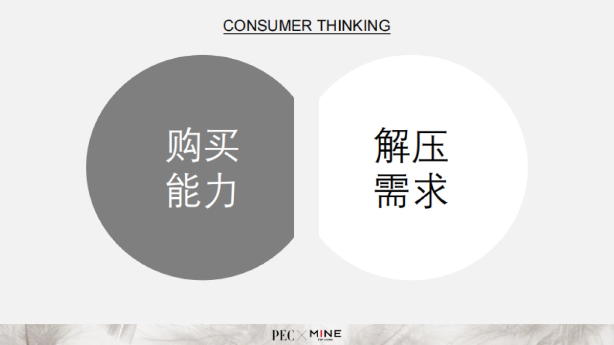 法国进口鹅纸被营销策划案MINE Goose Down Quilt Campaign Proposal_第10页