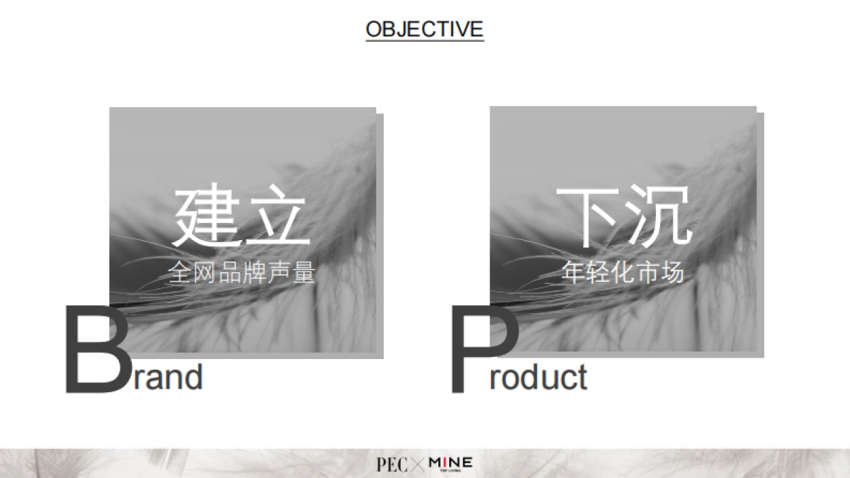 法国进口鹅纸被营销策划案MINE Goose Down Quilt Campaign Proposal_第2页