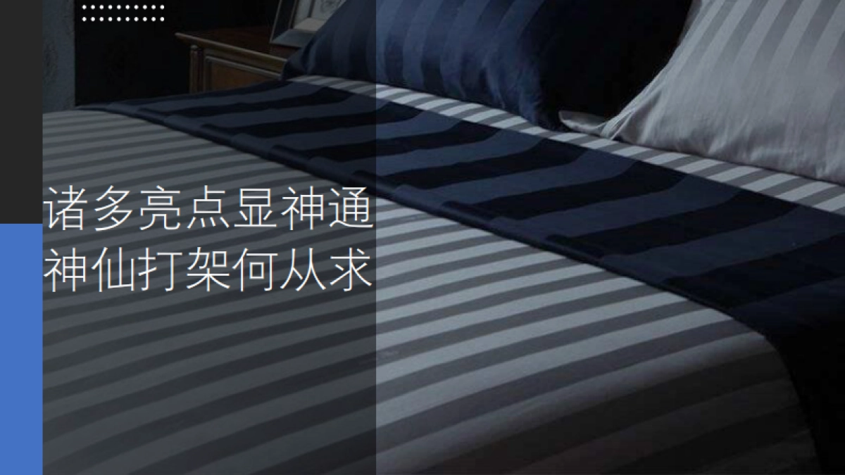 法国进口鹅纸被营销策划案MINE Goose Down Quilt Campaign Proposal_第4页