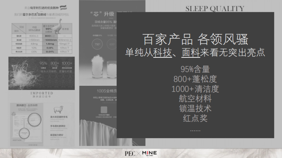 法国进口鹅纸被营销策划案MINE Goose Down Quilt Campaign Proposal_第5页