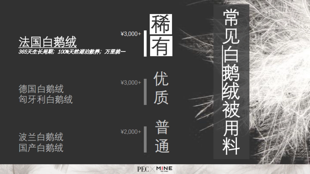 法国进口鹅纸被营销策划案MINE Goose Down Quilt Campaign Proposal_第6页