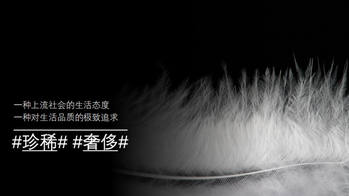 法国进口鹅纸被营销策划案MINE Goose Down Quilt Campaign Proposal_第7页