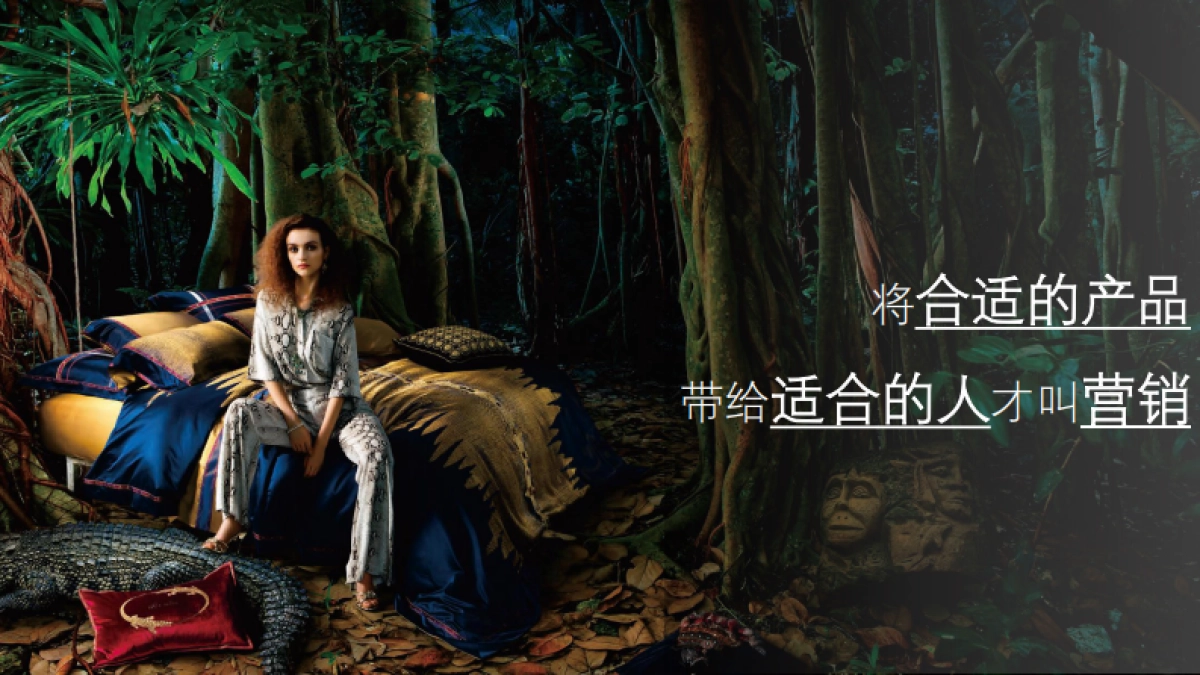 法国进口鹅纸被营销策划案MINE Goose Down Quilt Campaign Proposal_第8页