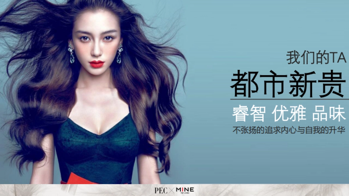 法国进口鹅纸被营销策划案MINE Goose Down Quilt Campaign Proposal_第9页