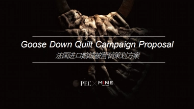 法国进口鹅纸被营销策划案MINE Goose Down Quilt Campaign Proposal