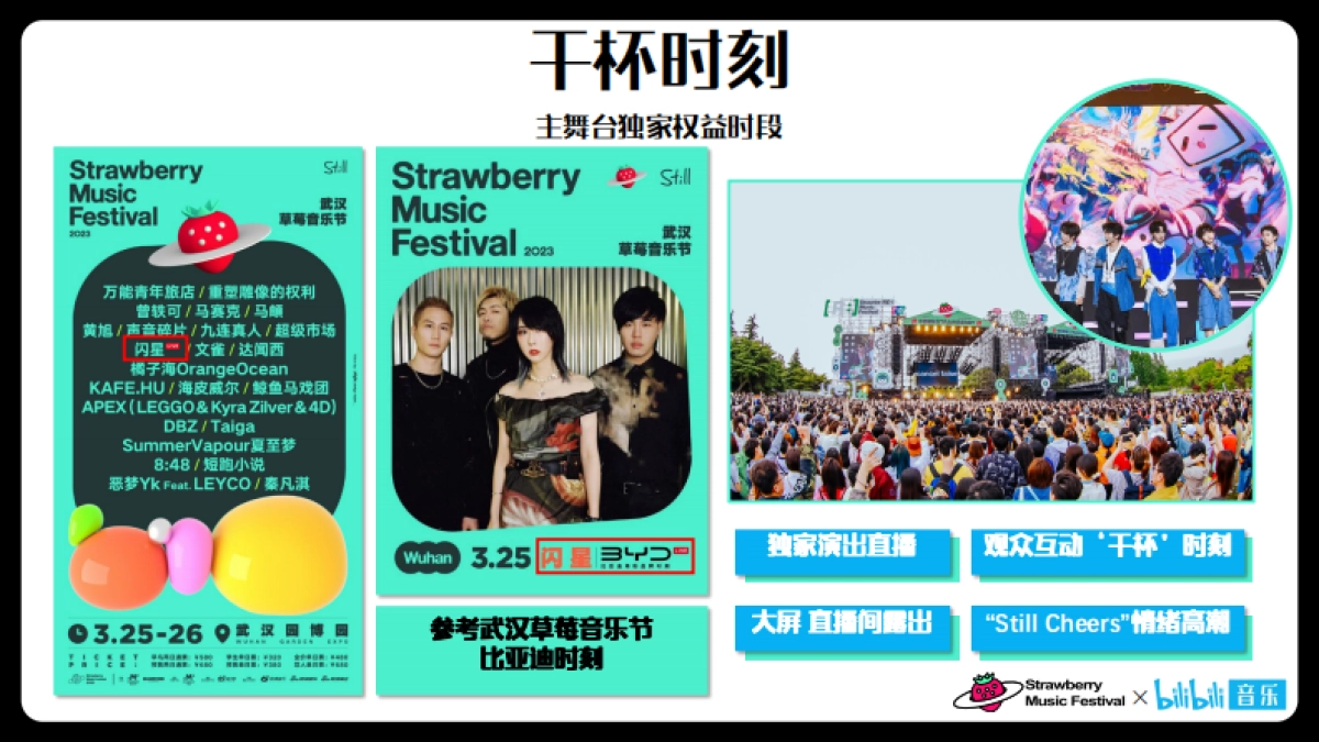 干杯草莓音乐节招商方案_第10页