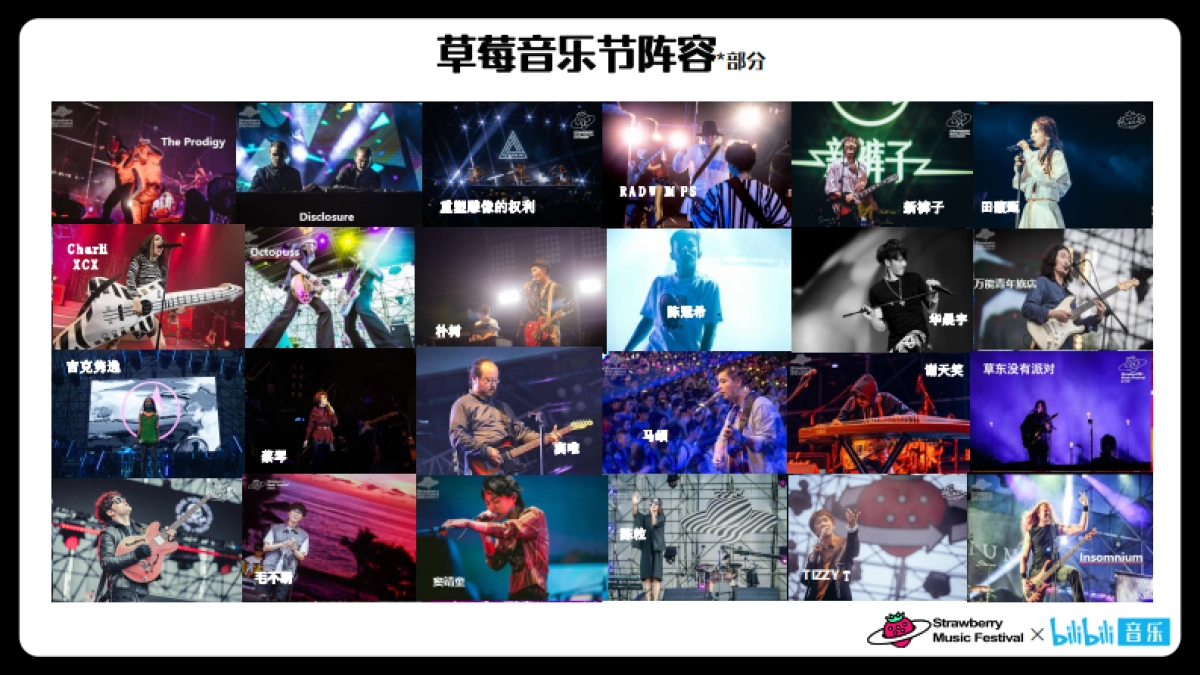 干杯草莓音乐节招商方案_第5页