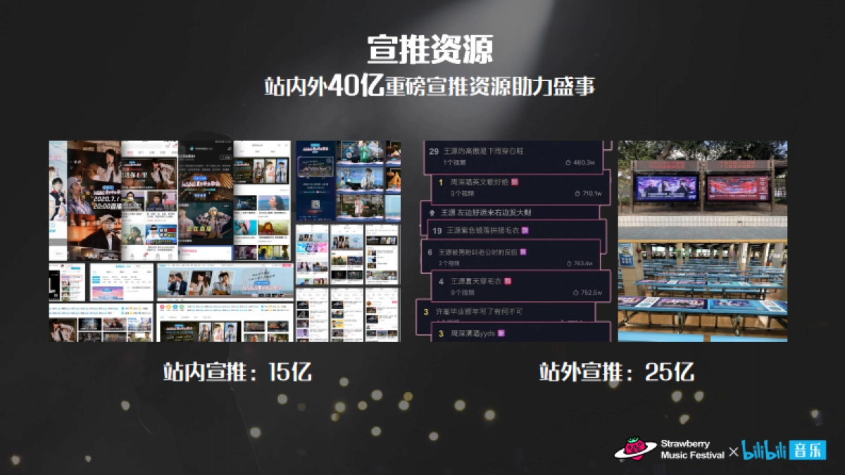 干杯草莓音乐节招商方案_第7页
