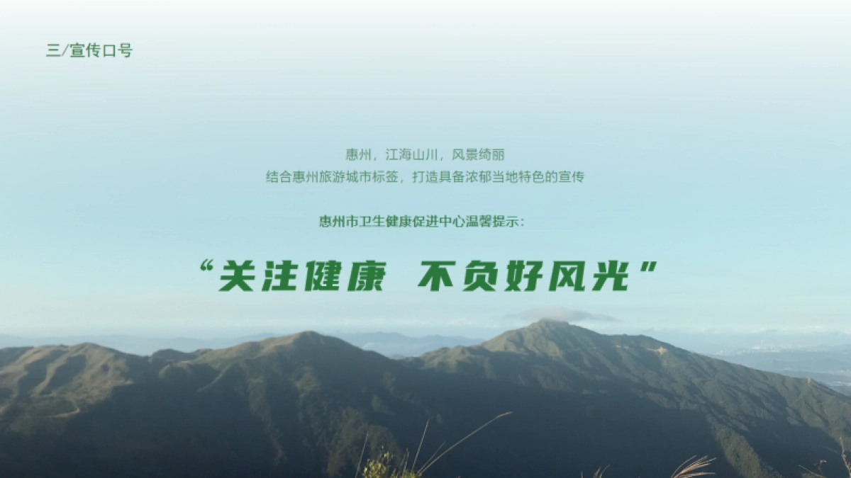 惠州公交车方案_第4页