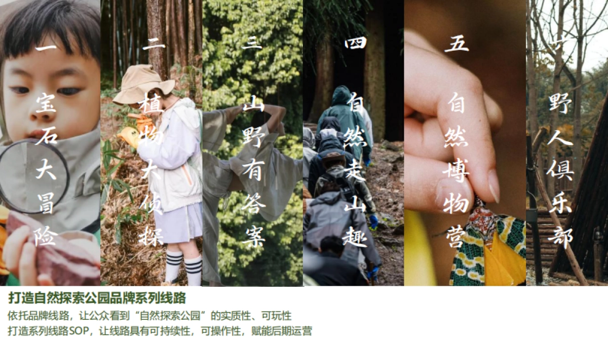 临安景区自然探索品牌营销_第7页